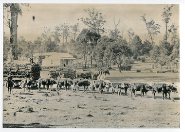 black and white photograph, 1889