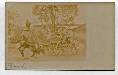 black and white photograph, Sherwood, Herbert