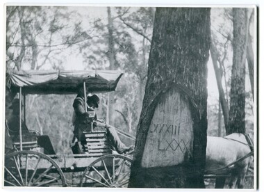 black and white photograph, 1913