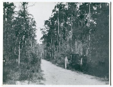 black and white photograph, 1913