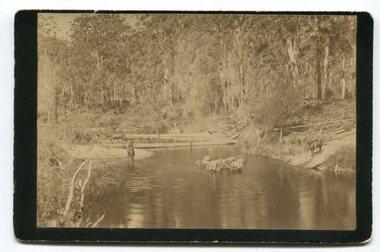 black and white photograph, late 19th - early 20th century