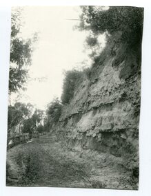 Photograph - Hofen's cutting, Bete Bolong, Orbost district, early 20th century