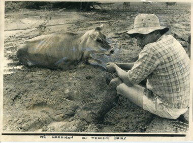 black and white photograph, 11 February 1971