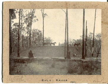 black and white photograph, Wood, 1901