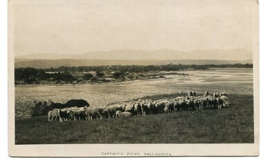 black and white photograph, first half 20th century