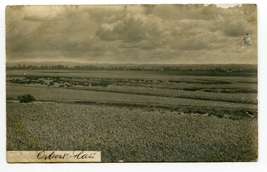 black and white photograph, Sherwood, first half 20th century