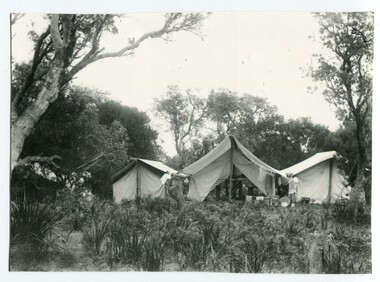 black and white photograph, first half 20th century