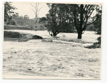 black and white photograph, February, 1971