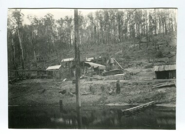 black and white photograph, 1895 - 1905