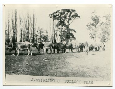 black and white photograph, late 19th century - early 20th century