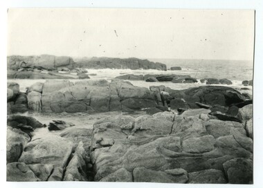 black and white photograph, first half 20th century