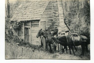 black and white photograph, early 20th century