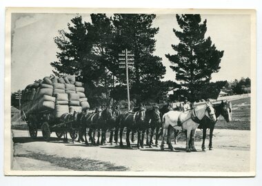 black and white photograph, 1920's -1930s