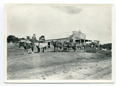 black and white photograph, early 20th century