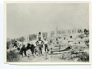 black and white photograph, late 19th century - early 20th century
