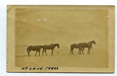black and white photograph, late 19th century - early 20th century