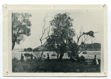black and white photograph, C 1880s - 1890s