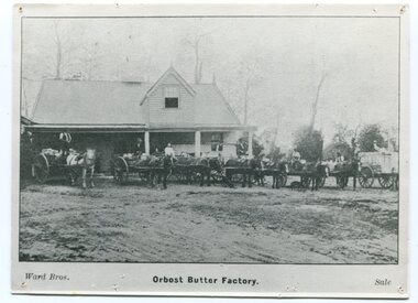 black and white photographs, Ward Bros, late 19th century - early 20th century