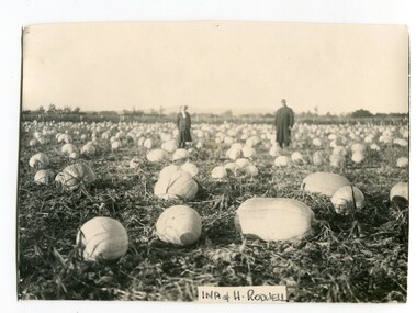 black and white photograph, Warren, Mrs H, firts half 20th century