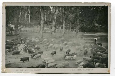 black and white photograph, late 19th century - early 20th century