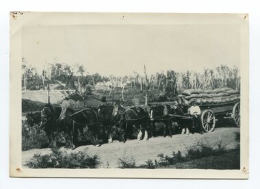 black and white photograph, late 19th century - early 20th century
