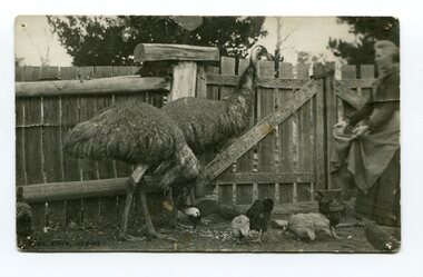 black and white photograph, Segerberg & Bulmer, late 19th century