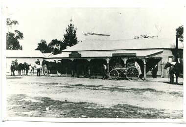 black and white photograph, early 20th century