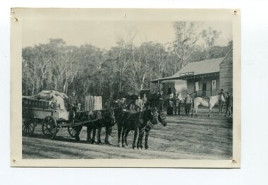 black and white photograph, late 19th century - early 20th century
