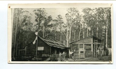 black and white photograph, late 19th century - early 20th century