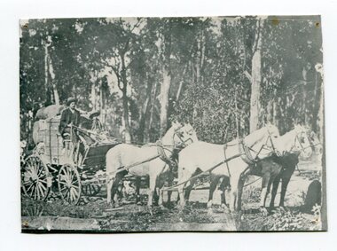 black and white photograph, late 19th - early 20th century