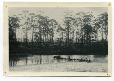 black and white photograph, late 19th century