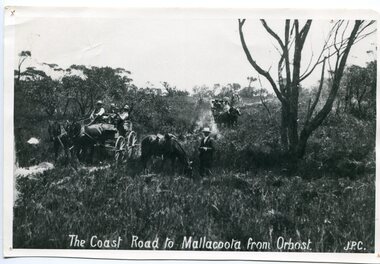 black and white photograph, late 19th century - early 20th century