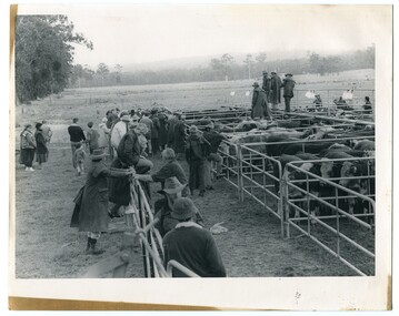 black and white photograph, second half 20th century