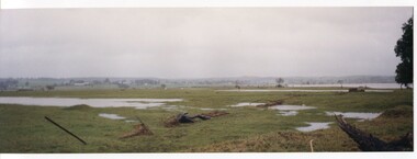 coloured photographs, Hogeman, Trudi, 2000 - 2010