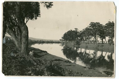 black and white photograph, first half 20th century