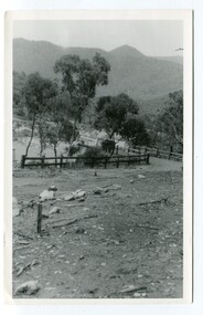 black and white photographs, 1934