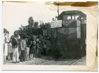 black and white photographs, C 1981