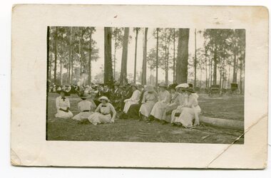 black / white postcard, late 19th - early 20th century