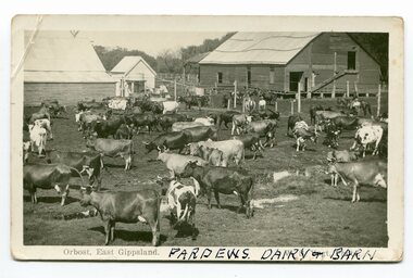 black and white photograph/ poscards, Vogt. W.S, C1890 - 1920