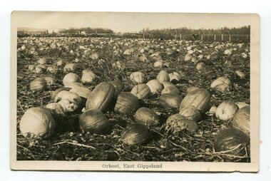 black and white photograph / postcard, first half 20th century