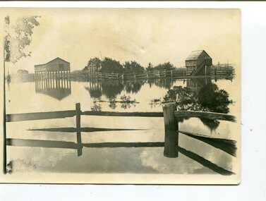 black and white photographs, 1890s