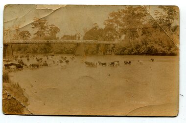 black  and photograph / postcard, 1.4.1908