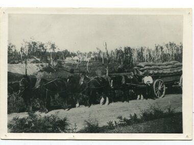 black and white photograph, late 19th century