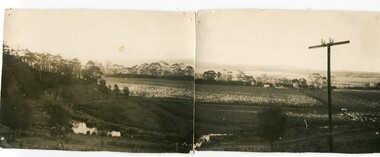 black and white photographs, Gilbert, Penuel (Mrs Frank Richardson), first half 20th century -1930s?