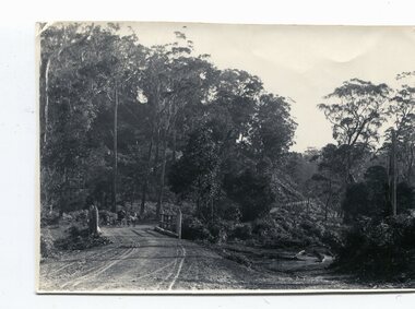 black and white photographs, late 19th century - early  20th century