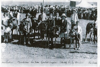 Photograph - Children and their calves at Orbost Show c. 1930