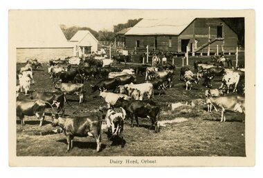 Postcard - postcards of Orbost district, c. 1930s