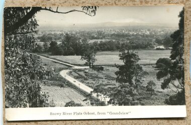 Photograph - Postcards - Orbost, Rose series, c. 1920s-50s