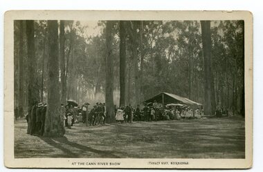 Photograph - Cann river photos, Vogt, Stanley, 1910 - 1930s