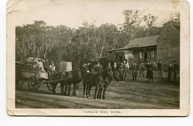 Photograph - Cabbage Tree Hotel, 1900-1915